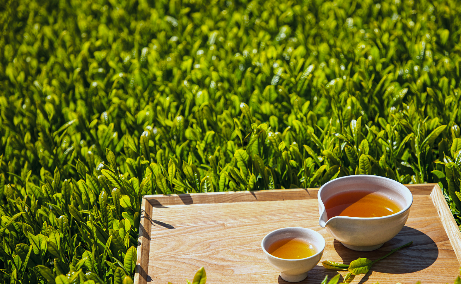 메인 비쥬얼 이미지