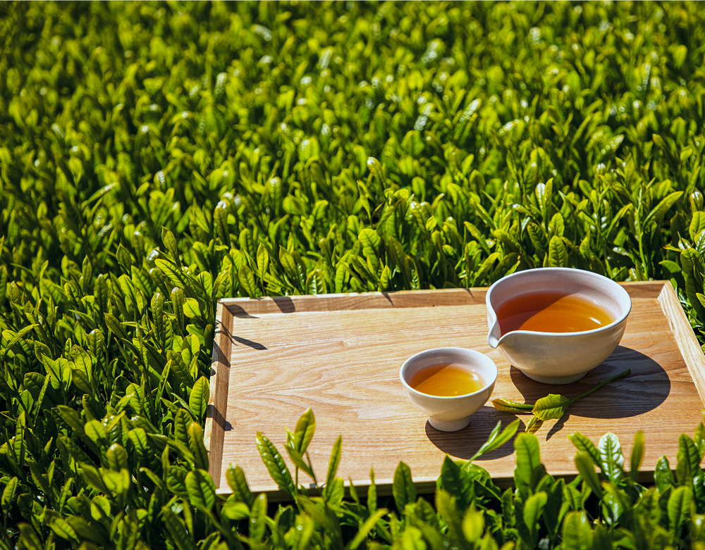 메인 비쥬얼 이미지