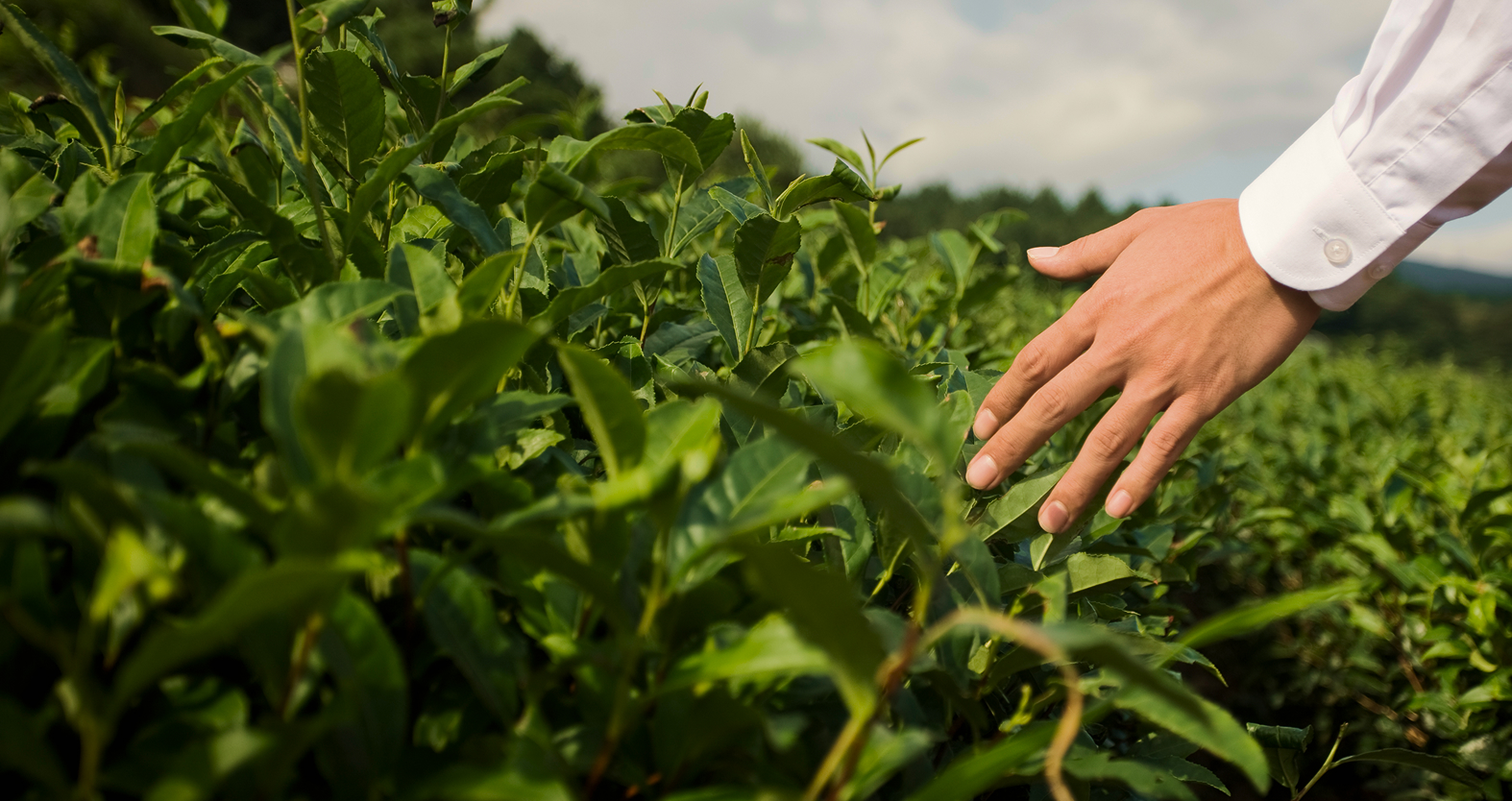 메인 비쥬얼 이미지